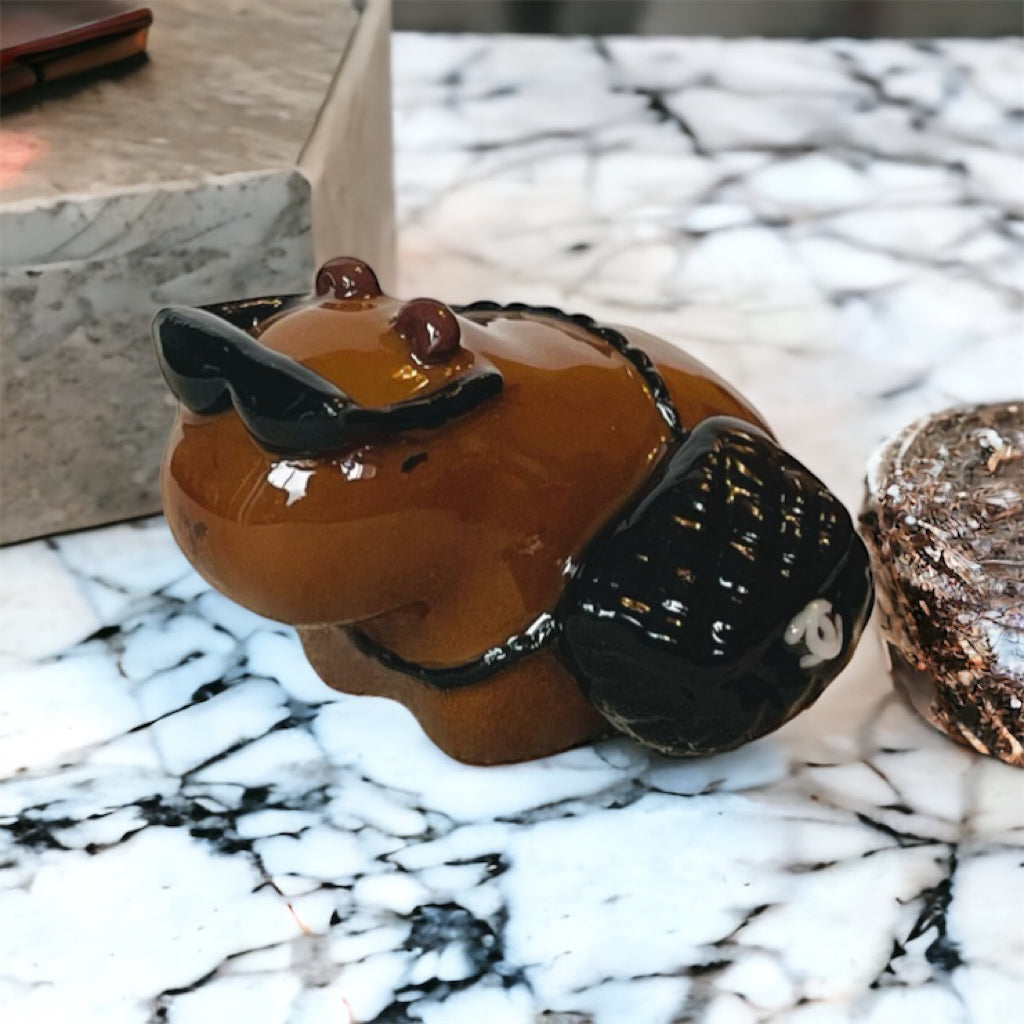 🕶️ Capiva 💅 with Chanel Bag