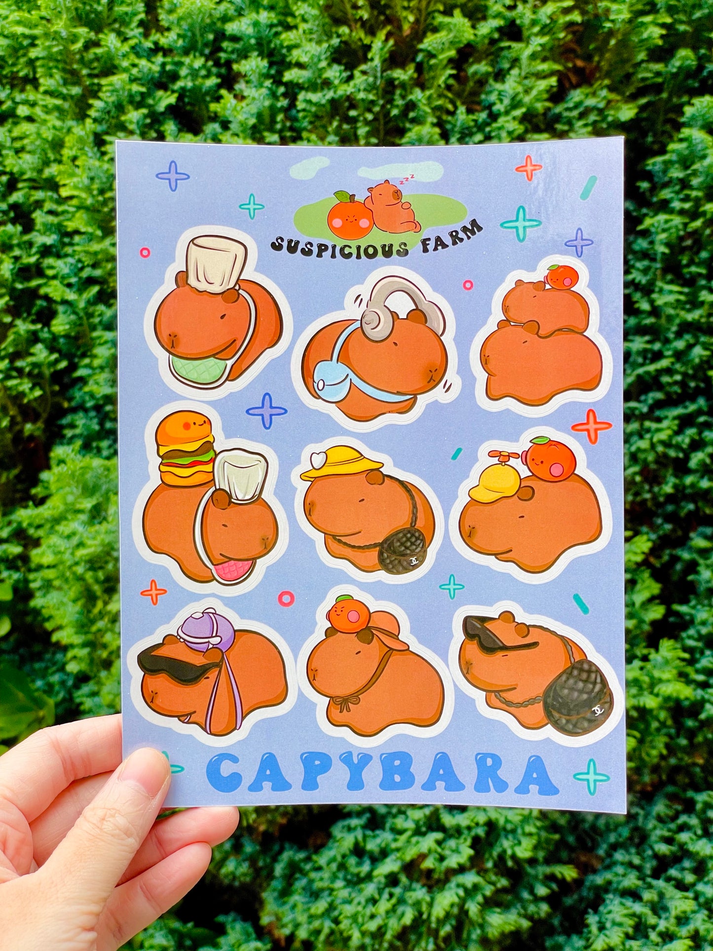 🌞 Capybara Stickers🥹