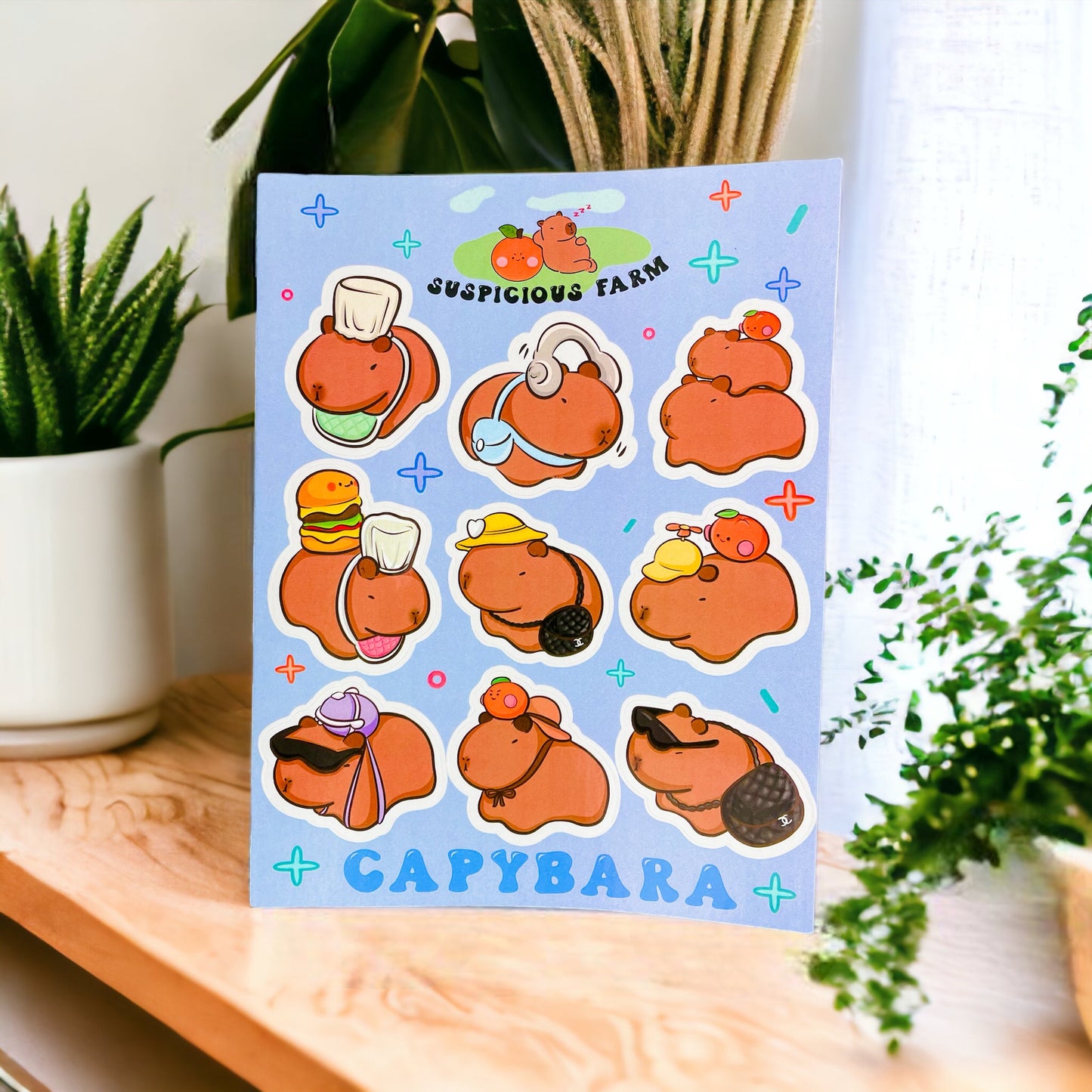 🌞 Capybara Stickers🥹