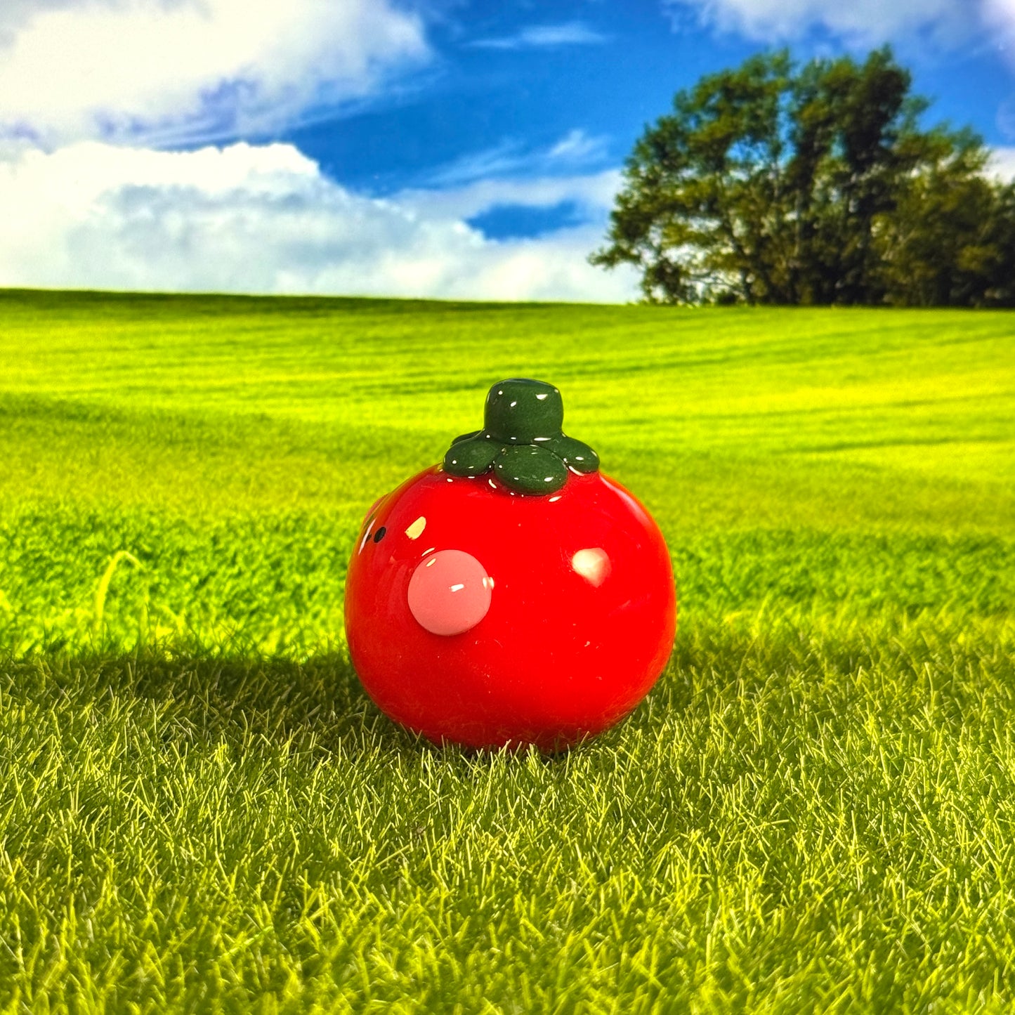 🍅Tomato Friend Figure🍅