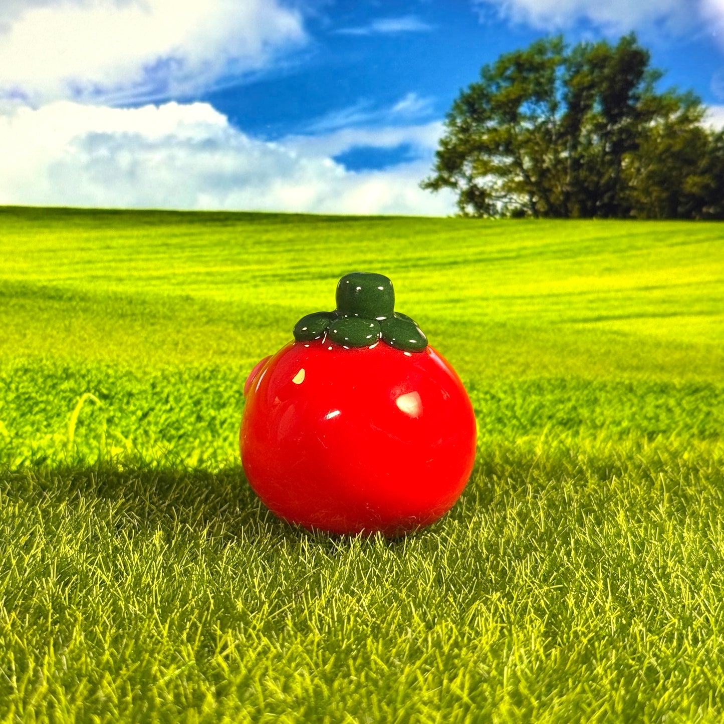 🍅Tomato Friend Figure🍅