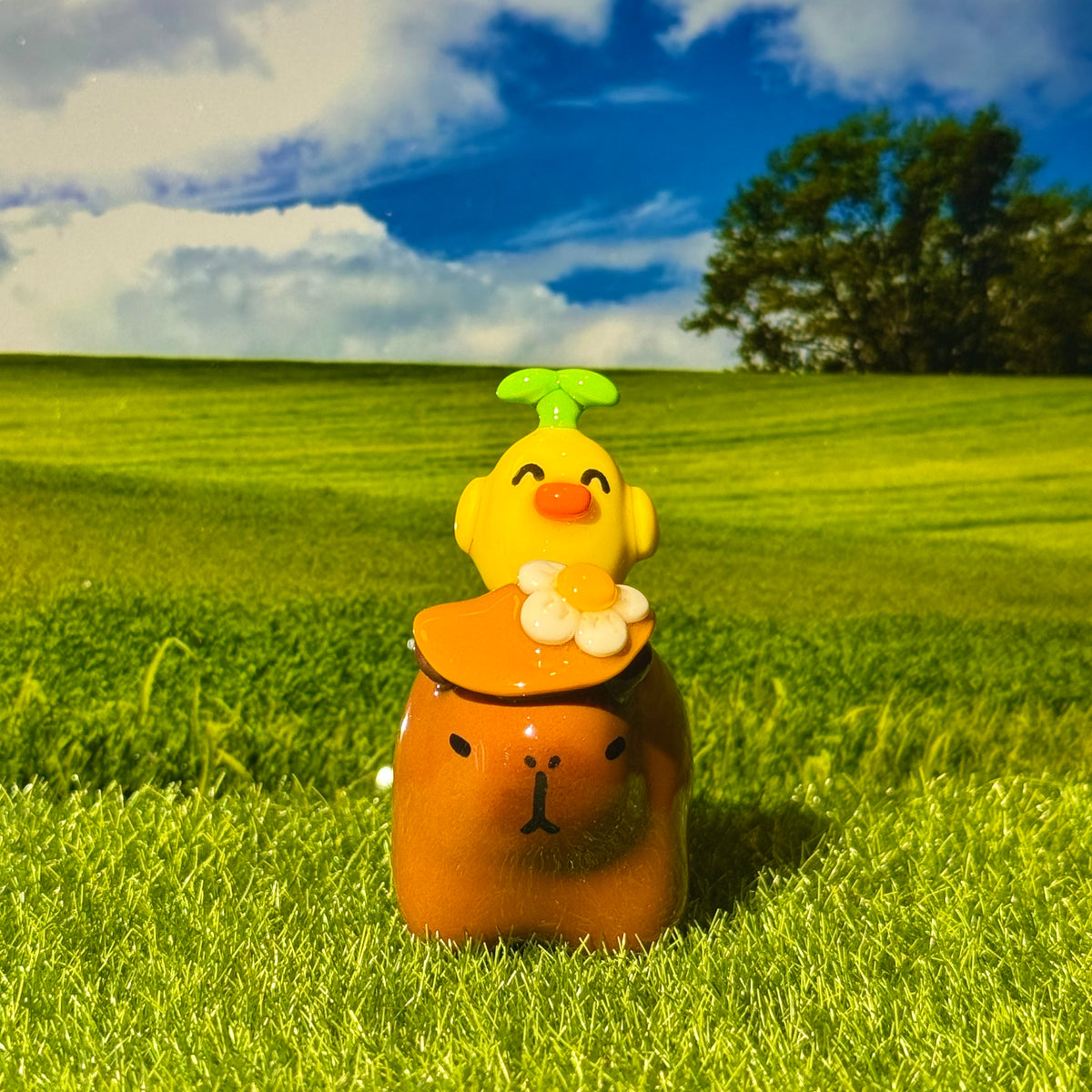 🌼Classy Capy With Friendly Duck🦆